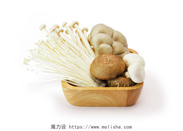 香菇白底木盘平菇白玉菇菌类菌菇蘑菇菌类组合
